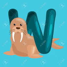 Words that end in w, words containing w. Walrus Animal And Letter W For Kids Abc Education In Preschool Cute Animals Letters English Alphabet Cartoon Animals Alphabet For Learning Letters Vector Illustration Single Letter With Wild Animal Walrus Royalty Free Cliparts