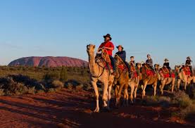 Start very early in the morning for this unique walk around uluru base. Uluru Camel Tours Picture Of Northern Territory Australia Tripadvisor