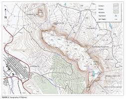 Image result for Digitaria monodactyla