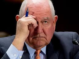 Trump Administration Demanded 4-H Stop Protecting LGBTQ Youth