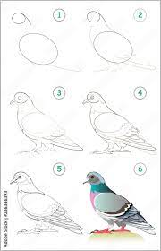 Page Shows How To Learn Step By Step To Draw A Cute Pigeon. Developing  Children Skills For Drawing And Coloring. Back To School. Vector Cartoon  Image. Stock Vector | Adobe Stock
