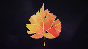 Rather, it is a chemical reaction called a combustion reaction, or combustion. Is Fire Solid Or Liquid Or Gas Gigazine