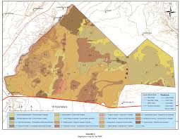 Image result for Schmidtia pappophoroides