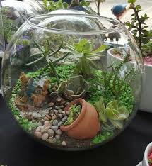 Pin On Terrarium
