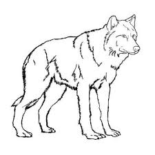 Peter Wolf Coloring Pages Bei Wolf Malvorlage