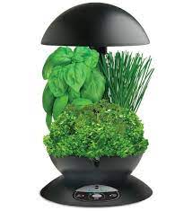 Aerogarden is constantly trying to improve and adapt our products. Aerogarden 3 W Herb Seed Kit Planet Natural