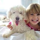 Mama objasnila zašto psi grizu djecu i upozorila roditelje