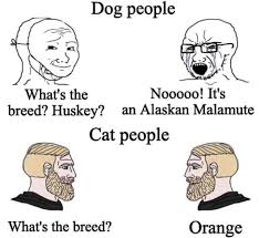 Daiikon98 Shop Redbubble Funny Cat Memes Dog Owner Memes Dog People