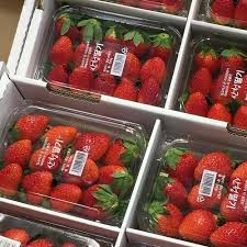 (1) tumblr korean aesthetic, red aesthetic, aesthetic themes, break my heart. Swarberry Korean And Aesthetic Image 6324969 On Favim Com