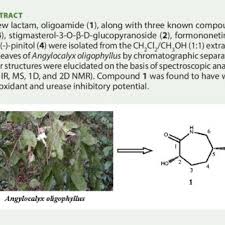 Image result for Angylocalyx