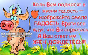 Статусы в картинках с Одноклассников &amp;quot;На волне позитива&amp;quot; (47 картинок) »  RadioNetPlus.ru развлекательный портал