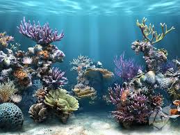 Sim Aquarium 3d Indir En Guzel Balikli Akvaryum Ekran Koruyucu Ucretsiz Gezginler