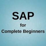 Image result for what is sap course all about