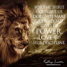 677 Motivational Inspirational Quotes Lion Quotes Inspirational Quotes Motivation Bible Inspiration