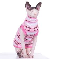 The stuff you need to buy for your sphynx kitten. Sphynx Cat Shirts Hard Candy Cuffed Turtleneck Sphynx Cat Wear
