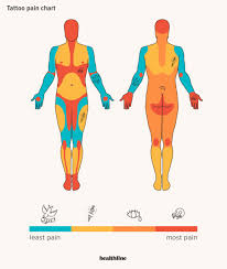 So what tattoo needles do what? Tattoo Pain Chart Where It Hurts Most And Least And More