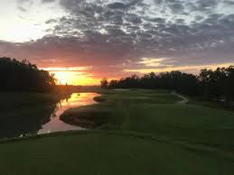 Master Turf and Irrigation