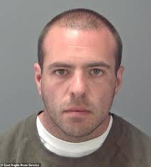 Convicted rapist who tricked his girlfriend into believing he was a pilot  and stabbed her is jailed