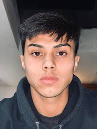 Catch 22 Fennville: Vote for the top athlete from 2001-22