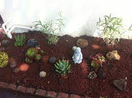 Lava Rock Garden Landscaping With Rocks Rock Garden Lava Rock Landscape