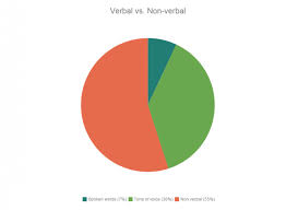 verbal vs non verbal communication pie chart