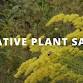 Springfield Native Plant Sale – Bass Pro Shops Sportsman’s Center®