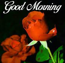 Two Red Rose Wallpaper Wth Good Morning Good Morning Images Morning Images Morning Pictures