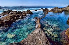 Maybe you would like to learn more about one of these? Explore Ecotourism In Orange County Stay And Play In Costa Mesa