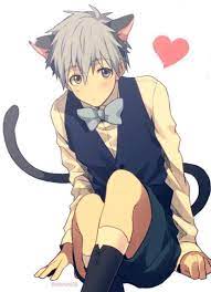 Everybody talking about genetically engineered catgirls but catboys would  be darn cute too : r/gay