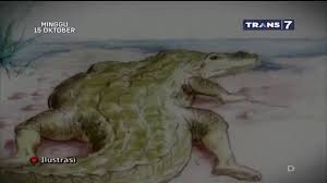 Tribun lampung news video 11 months ago. Misteri Buaya Waduk Wayrarem Lampung Jejak Jejak Misterius Youtube