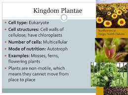Taxonomy Classification Ppt Download