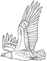 Deep Bald Eagle Coloring Page Eagle Painting Coloring Pages Eagle Drawing