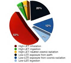 pie chart proportions of high and low let radiation of the