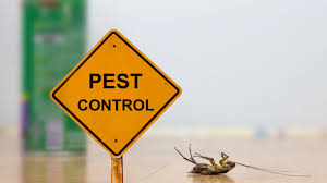 Yeppoon carpet cleaning and pest control service the real estate sector, the mining sector, corporate bodies, insurance companies, builders (domestic and commercial) and the general public. A One Pest Control Services Archives Carpet Cleaners Los Angles