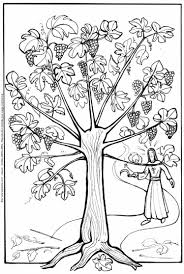 Coloriage diddl, coloriage superman, coloriage de chat, coloriage de cheval, coloriage de mandalas. Par 09 Parabole De La Vigne Et Des Sarments Dessin Et Commentaire Prierenfamille
