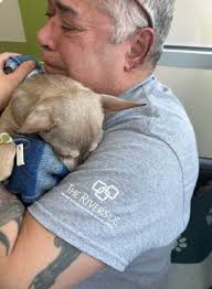 Vandaag alweer 6 mnd geleden Dat we onze lieve Dusty moeten missen Hvj  lieverd 💙💙💙