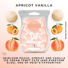 Lifestance Digital Wax Heater, Wax Warmer For Professional Hair Removal  With See-Through Lid And 500Ml Aluminum Wax Pot Waxing At Home :  Amazon.Co.Uk: Health & Personal Care