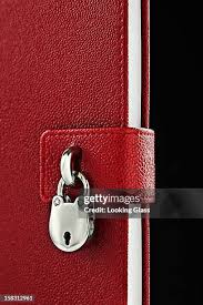 167 Diary Lock Stock Photos, High-Res Pictures, and Images