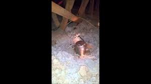 We did not find results for: Recessed Lighting Problems