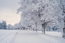 40.000 + Paesaggio Di Neve e Natura immagini gratis - Pixabay