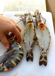 Market Manila Extra Colossal Shrimp Prawns A La Marketman General Colossal Shrimp Prawn Shrimp