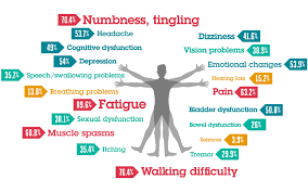 Since ms affects the nerve cells in the brain and spinal cord, you may have a wide range of symptoms. What Are The Symptoms Of Ms Wellington Multiple Sclerosis Society Inc