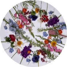 Joann has aisles of smiles to help you find your happy place. Florist Kistner S Flowers