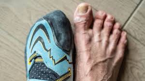 He always tends to stick to la sportiva because he is sponsored by them but they also produce a huge range of very good high end shoes. 41 Into 36 For Ghisolfi 8a Nu News Deutschland