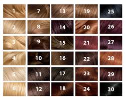 Hair Color Code Chart Bahangit Co