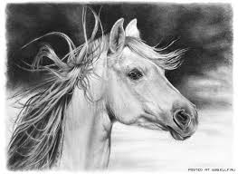 Awesome Pencil Work Linda Huber Horse Pencil Drawing Horse Drawings Realistic Pencil Drawings