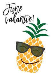 Afbeeldingsresultaat voor fijne vakantie