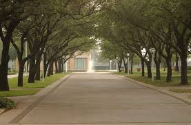 Saturday Morning Austin College College Campus Wonderful Places