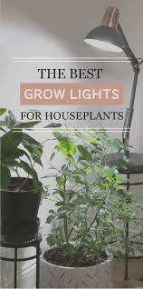With led grow lights, growing plants for both aesthetic value or financial gain has never been easier. The Best Grow Lights For Your Houseplants The Healthy Houseplant