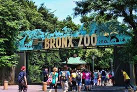 Bronx Zoo Wednesdays Pay What You Wish Bronx Zoo Nueva York Mundo